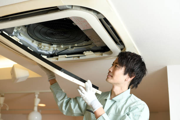 Best Air Duct Mold Removal  in Matamoras, PA